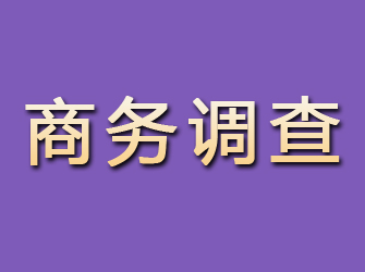 丰泽商务调查